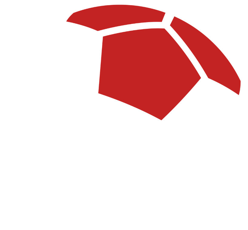 Taunuskicker Talentwerkstatt Ball-Emblem
